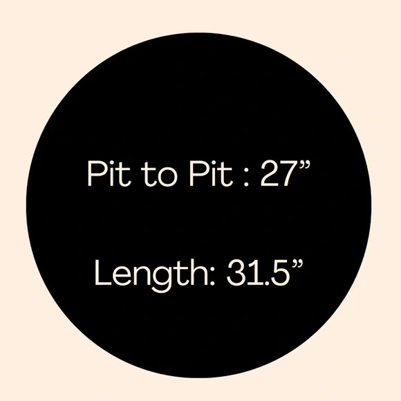 Velvet Heart Oversized Eyelet Embroidered Button  Down Shirt Blouse Size 2X - Picture 10 of 10